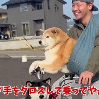 「慣れてる感」を演出するおもちくん