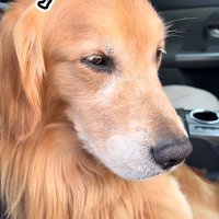 ちらりと睨みを利かせる