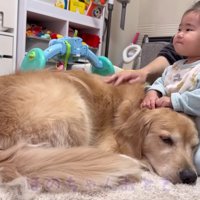 仲睦まじい姿にホッコリ