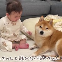 起き上がってしまうほのちゃん