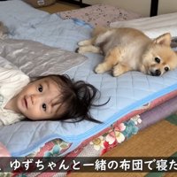 仲良しで微笑ましい♡