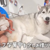 布団をかけられるのは嫌だけど…