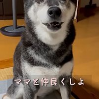 再度問いかけるママ
