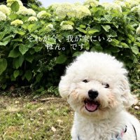 無事にお迎え。