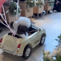 バージンロードを走る車