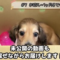 ゆらちゃんの姿が♡