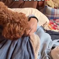 パパさんが熱でダウンした時のポポくん3