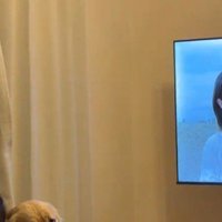 犬と一緒にドラマを見ている女性