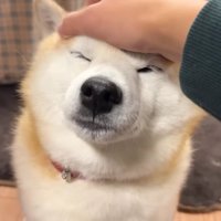 健気な姿にホッコリ♡