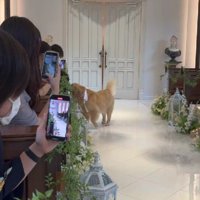 「来てくれてありがとう！！」