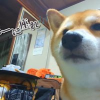 「面倒臭いことになったな～…」