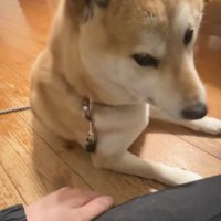 「おやつですと？」
