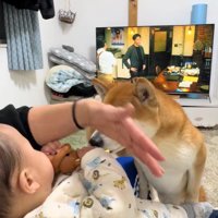 手でさえぎっても止めません