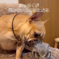 はっさくくんが心配なおとちゃん