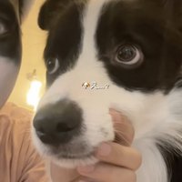 いったん見てから…