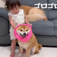 頼もしい救世主が登場♡