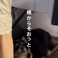 気づいたLeaちゃん