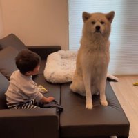 座っちゃった！