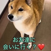 お目目キラキラ♪