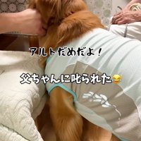 パパさんに叱られてしょんぼり…