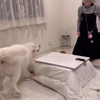 愛情あふれるワンシーン