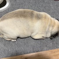 生牡蠣