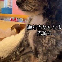 「先輩を怒らせるなよ…？」と警戒中