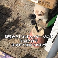 リリーちゃんの変化2