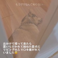 いじけるセナくん2