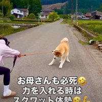 永遠に続く攻防戦！？