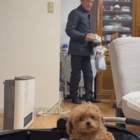 お父さんが帰宅