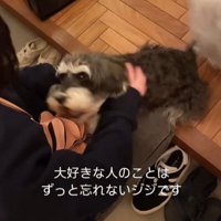 抱きつく犬1