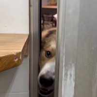 「何してるの？」