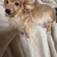 目覚めたピースちゃん