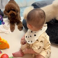 駆け付けたぽてとちゃん