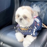 覚えているかな？