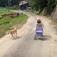 のんびり一緒にお散歩♪