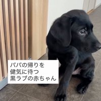「パパどこだろ…」