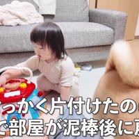 また荒らされちゃった