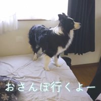 「もっと一緒にゴロゴロしたかったな～」