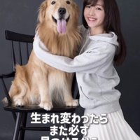 「生まれ変わったら必ずまた見つける」