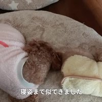 寝相まで一緒に…
