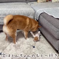 「一緒に遊ぼうよ」