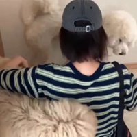 ますお君＆まるお君とママさんの再会9