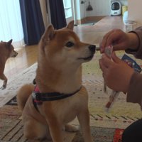 おやつでゴキゲンに♪