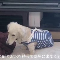 人との触れ合いはほとんどない