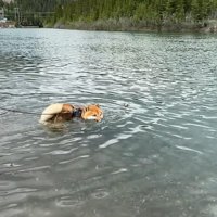 足場を失ってピンチ！
