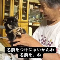 あさちゃんを見つめるおばあちゃん