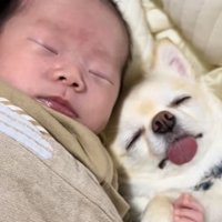 まるで双子のよう♪