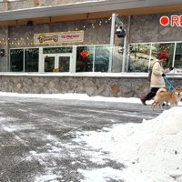 そのままフレームアウト（笑）